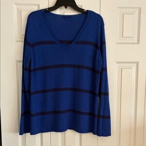 Eileen Fisher Blue and Black Striped V-Neck Sweater